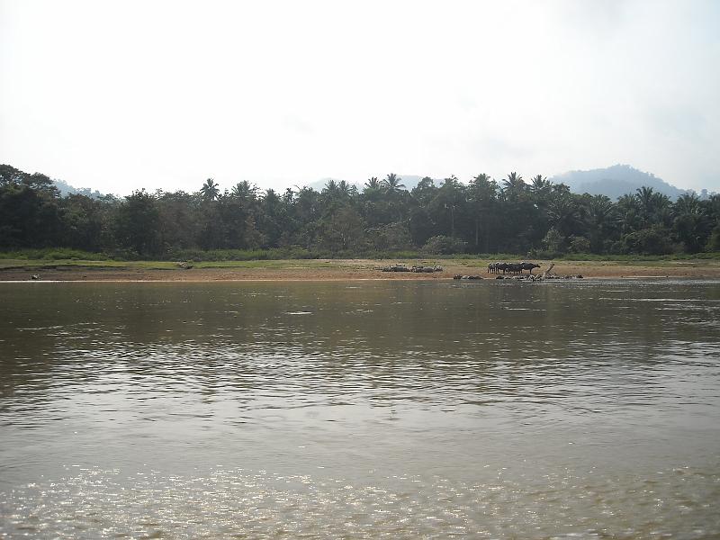 Maleisie (405).jpg